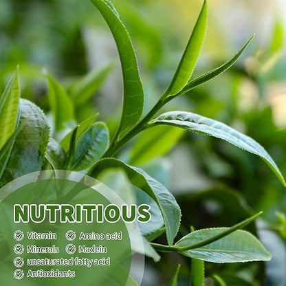 Yerba Mate Tea Bags with 40 Count - Supports Cardiovascular & Digestive Systems, Keep Youth.