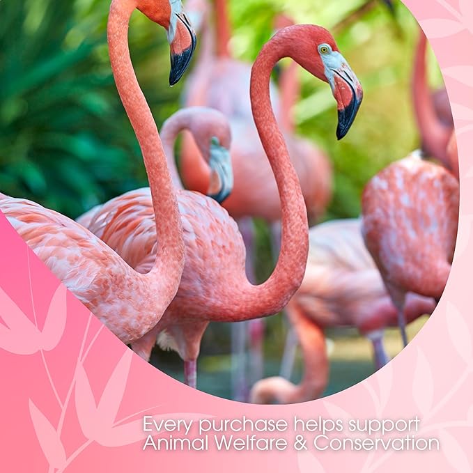 Flamingo Vanilla Decaffeinated Reduced Calorie Chai Tea Latte Mix, 48 Oz, Decaf Black Tea, Organic Spices, Sugar Free, Dairy Free, Serve Hot or Cold, Just Add Water or Milk, 56 Servings