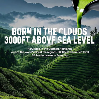 Emerail Ceremonial Grade Matcha Green Tea Powder, Premium First Harvest Unsweetened, 100% Pure Matcha for Lattes, Smoothies, and Baking (60g / 2.1oz)