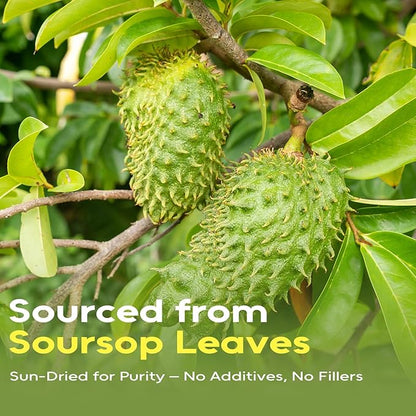 FullChea - Soursop Leaves Tea Bags, 80 Counts - Premium Hojas De Guanabana Tea - Non-GMO - Caffeine-free - Improve Digestion, Support Skin & Sleep