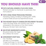 Load image into Gallery viewer, FreshDrinkUS, Premium 75 Ginger Tulsi Tea Bags, 100% Natural, Hand-made Blend of Ginger and Tulsi Holy Basil Leaves, Eco-conscious Tea Bags. Herbal Tea. No Sugar, No Caffeine, Vegan.