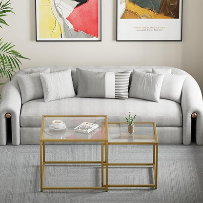 Glass Coffee Table Gold,Nesting Tables Set of 2, Minimalist Coffee Side End Tables for Small Spaces, Sofa Side Tea Coffee Table with Metal Frame for Home, Office, Space-Saving