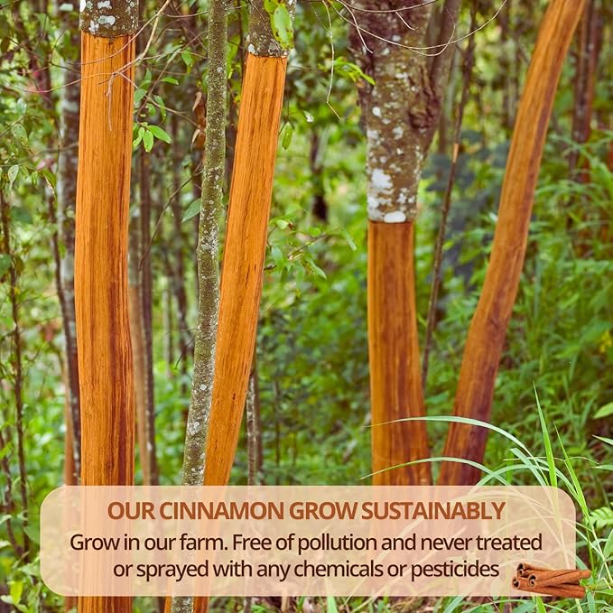 VIDA FARM 125 Cinnamon Tea Bags, 100% Natural Herbal Cinnamon Tea Bags, No Additives, No Caffeine, No Sugar