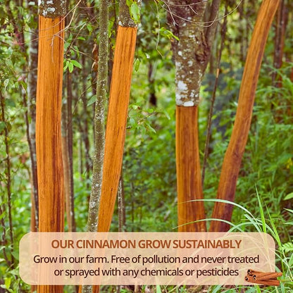 VIDA FARM 125 Cinnamon Tea Bags, 100% Natural Herbal Cinnamon Tea Bags, No Additives, No Caffeine, No Sugar