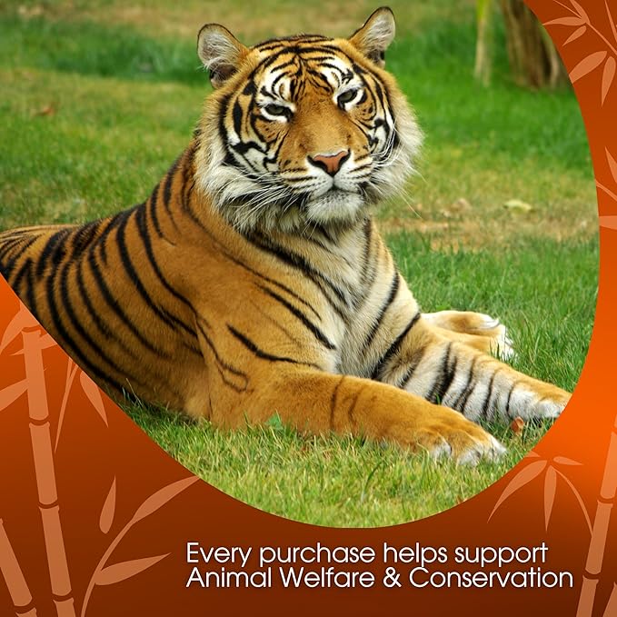 Tiger Spice Chai Tea Latte Mix, 14 Oz, Black Tea, Organic Spices, Dairy Free, Serve Hot or Cold, Just Add Water or Milk, 14 Servings