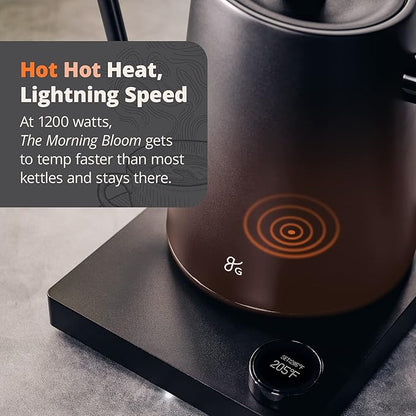 Greater Goods Electric Gooseneck Kettle, 1200W Stainless Steel with Precision Temperature Control, Fast Boil, BPA-Free, Ideal for Pour Over Coffee and Tea,1L (Onyx Black)