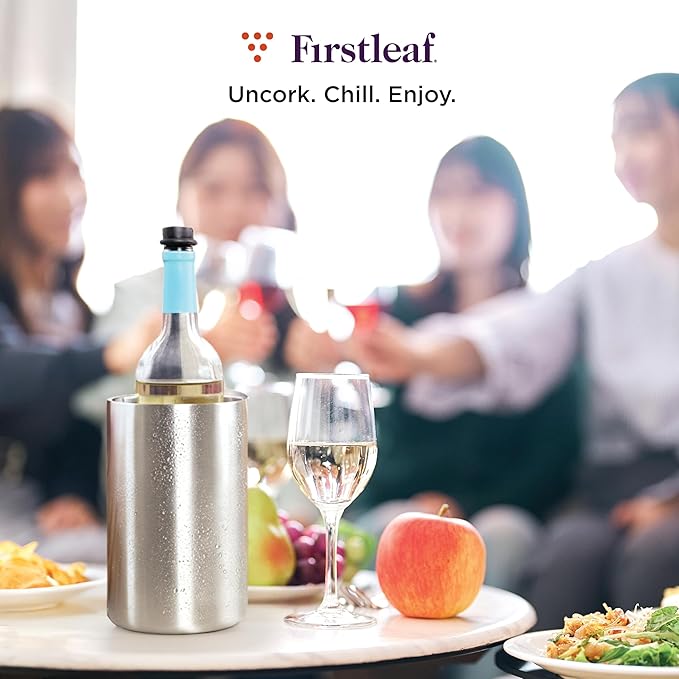 Stainless Steel Wine Chiller a Double-Insulated Iceless Bottle Cooler for Wine & Champagne, Keeps Bottles Cold up to 6 Hours, Portable, Fits Most Bottle Sizes, Wine Accessory Gift