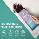 Load image into Gallery viewer, Organic Mushroom Decaffeinated Coffee Dark Roast, Red Reishi &amp; Chaga, Swiss Water Process, Full Fruiting Bodies, Decaf for Calm and Relaxed Focus Grade 1 Single Origin Peruvian, 12oz - Ground