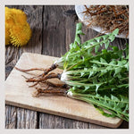 Load image into Gallery viewer, MagJo Naturals Dandelion Root, Raw, Not Roasted, Loose Tea (50 + Cups) (4 oz) 100% Wild-Crafted from Eastern Europe