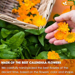 Load image into Gallery viewer, FreshDrinkUS, Premium 135 Calendula Tea Bags, 100% Natural and Pure Calendula Flowers, Eco-conscious Tea Bags. Herbal Tea. No Sugar, No Caffeine, No Gluten, Vegan.