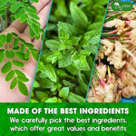 Load image into Gallery viewer, TOG999, Premium 20 Tea bags Super Moringa Herbal Tea, Special Blend of Moringa Leaves, Spearmint Leaves, Ginger, Lemon Peel and Chamomile. No Sugar, No Caffeine, No Gluten, Vegan.