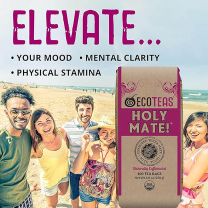 ECOTEAS Holy Mate! Organic Yerba Mate Tea Bags with Tulsi & Mint – Natural Energy, Detox Herbal Tea, Stress Support – Kosher, Non-GMO, Gluten-Free - 100 Bulk Bags, 8.8 oz (Pack of 1)