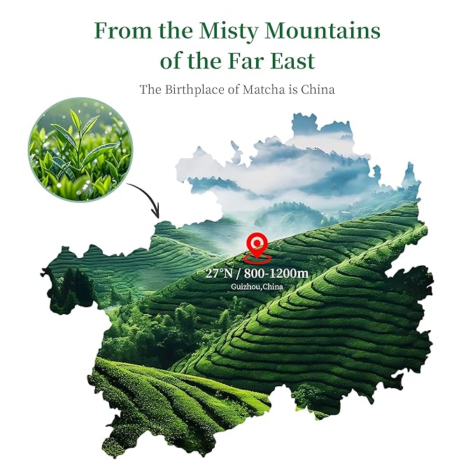 LeafCharm Ceremonial Grade Matcha Powder 100g,3.52oz Resealable Tin,Sugar Free Matcha Powder,Rich in Antioxidants & Energy Boosting, New Year Wellness Gift,Daily Ritual for Cafe, Latte, Collagen,& Smoothies