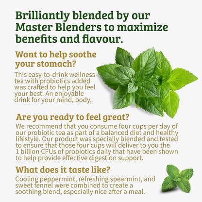 Twinings Superblends Probiotics+ Peppermint & Fennel Herbal Tea, 250 Million CFUs per Cup, 18 Tea Bags (Pack of 2), Naturally Caffeine-Free, Enjoy Hot or Iced