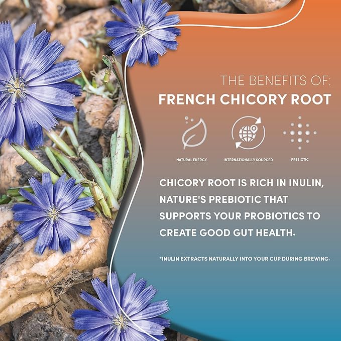 Teeccino Dandelion Caramel Nut Herbal Coffee - Caffeine-Free Coffee Alternative with Prebiotics, Gluten Free, Acid Free - Medium Roast, 10 oz