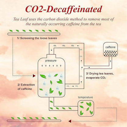 WT WEETEE Chocolate Hazelnut Decaf Black Tea Bags 50 Count, No Sugar, Nut-Free, Flavored CO₂ Decaffeinated Black Tea, Rich & Smooth Gourmet Dessert Tea