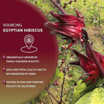 Load image into Gallery viewer, Worldwide Botanicals Organic Hibiscus Tea – 1 lb, Loose Leaf, Cut and Sifted – 100% Egyptian Hibiscus sabdariffa AKA Karkade, Roselle, Sorrel, Zobo, Flor de Jamaica, 1 Pound Bag