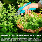 Load image into Gallery viewer, FreshDrinkUS, Premium 120 Lemon Balm Leaf Tea Bags, 100% Natural &amp; Pure from Lemon Balm Leaves. Loose Leaf Herbal Te. No Sugar, No Caffeine, No Gluten, Vegan.