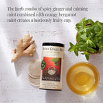 Load image into Gallery viewer, The Republic of Tea Orange Ginger Mint Tea, 250 Tea Bags Caffeine-Free Gourmet Herbal Tea