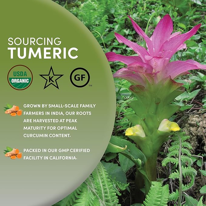 Worldwide Botanicals Organic Turmeric Tea, 1 lb, Tea Cut For Best Infusion - 100% Curcuma longa – Ayurvedic Herb For Optimal Health - 16 ounces