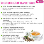 Load image into Gallery viewer, FreshDrinkUS, Premium 55 Marshmallow Root and Leaf Tea Bags, 100% Natural &amp; Pure. Loose Leaf Marshmallow Herbal Tea. Made with Eco-Conscious Tea Bags. No Sugar, No Caffeine, No Gluten, Vegan.