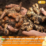 Load image into Gallery viewer, FreshDrinkUS, Premium 85 Ginger Turmeric Tea Bags, 100% Natural Ingredients, Hand-made Blend of Ginger and Turmeric Herbal Tea, Eco-conscious Tea Bags. No Sugar, No Caffeine, No Gluten, Vegan.