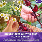 Load image into Gallery viewer, Refreshing Mint Herbal 60 Tea Bags – Special Blend Of Spearmint and Peppermint with Chamomile, and Top Herbal Ingredients for Digestive Comfort &amp; Relaxation, Caffeine-Free, Naturally Sweet, Non GMO