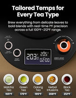 Load image into Gallery viewer, Vianté Electric Gooseneck Kettle with Precise Temperature Control. Pour Over Coffee &amp; Tea Kettle. Boil-Dry Protection &amp; Keep Warm Function. Stainless Steel, BPA-Free. Includes V60#2 Filters. 0.8L