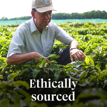 Starbucks Ground Coffee, Medium Roast Coffee, Fall Blend, 100% Arabica, Limited Edition, 1 Bag (17 Oz)