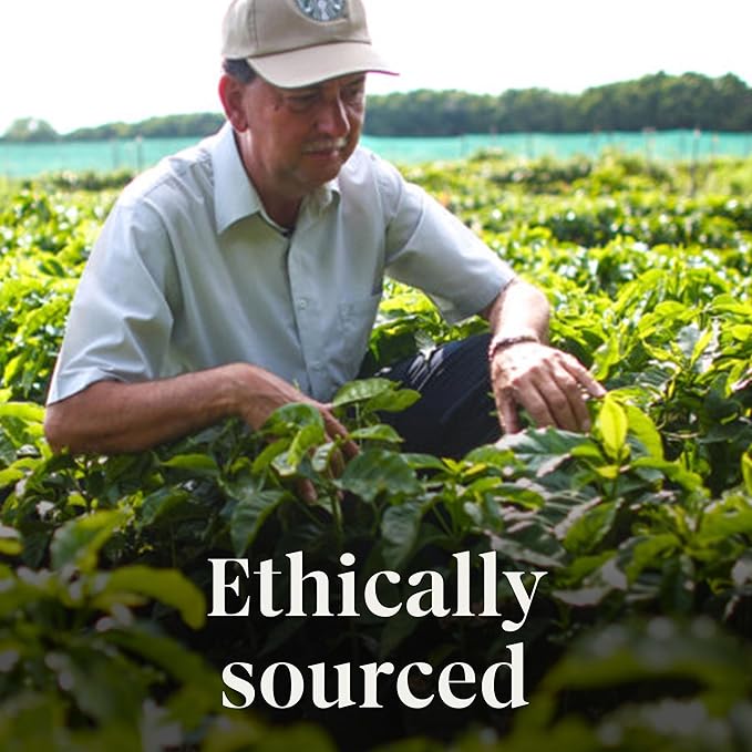 Starbucks Ground Coffee, Pumpkin Spice Flavored Coffee, 100% Arabica, Limited Edition, 1 Bag (17 Oz)