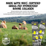 Load image into Gallery viewer, Projo* Power Coffee – Instant Coffee with 10g Protein - Grass-Fed Hydrolyzed Bovine Collagen &amp; 225mg Caffeine – Organic, Unsweetened, Medium Roast – Bold Black – 12 Single-Serve Packets