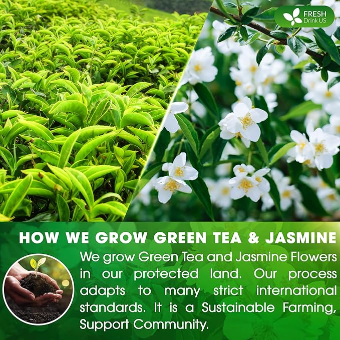 FreshDrinkUS, Premium 40 Jasmine Green Tea Bags, 100% Natural & Pure from Jasmine Green Herbal Tea. Made with Natural Material Tea Bags. No Sugar, No Gluten, Vegan.