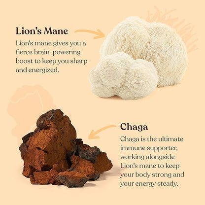 Four Sigmatic Focus Mushroom Coffee | Organic Ground Coffee with Lion's Mane Mushroom and Chaga for Better Focus and Immune Support | 12oz Bag