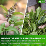 Load image into Gallery viewer, FreshDrinkUS, Premium 135 Tulsi Green Tea Bags, 100% Natural, Blend of Tulsi Holy Basil Leaves, and Green Tea Leaves. Made with Natural Material Tea Bags. No Sugar, Vegan.