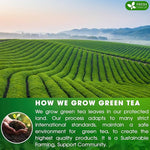 Load image into Gallery viewer, FreshDrinkUS, Premium 175 Green Tea Bags, 100% Natural &amp; Pure from Green Tea. Green Herbal Tea. Made with Natural Material Tea Bags. No Sugar, No Gluten, Vegan