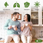 Load image into Gallery viewer, FreshDrinkUS, Glucose Functional Loose Leaf Tea | 4oz | Herbal Blend of Gymnema, Milk Thistle, Dandelion Root, Cinnamon &amp; Ashwagandha – Naturally Caffeine-Free, Premium Quality, Balanced Flavor. Vegan