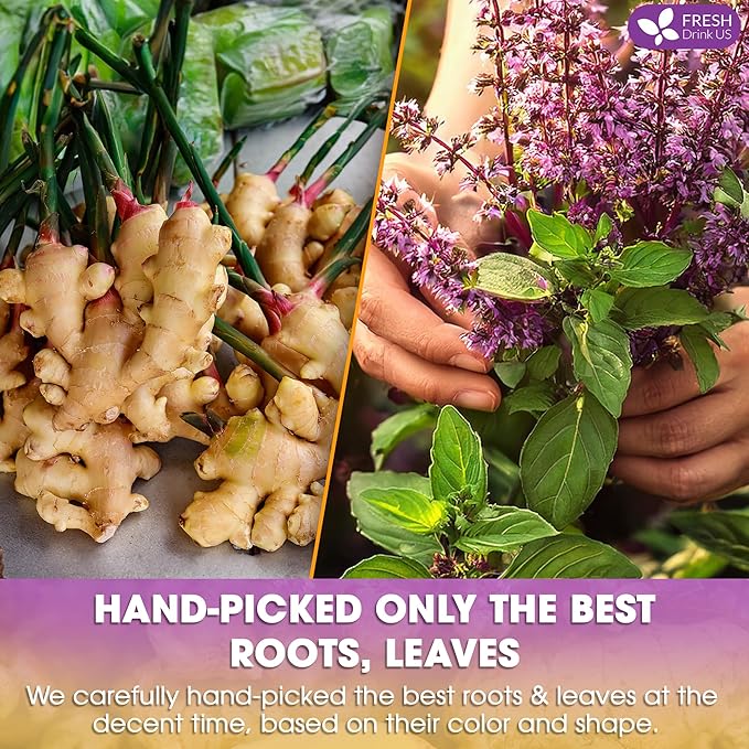 FreshDrinkUS, Premium 75 Ginger Tulsi Tea Bags, 100% Natural, Hand-made Blend of Ginger and Tulsi Holy Basil Leaves, Eco-conscious Tea Bags. Herbal Tea. No Sugar, No Caffeine, Vegan.