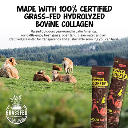 Projo* Power Coffee – Instant Coffee with 11g Protein – Grass-Fed Hydrolyzed Bovine Collagen & 175mg Caffeine – Mocha Latte Flavor – Organic – Energy Support – 12 Single-Serve Packets