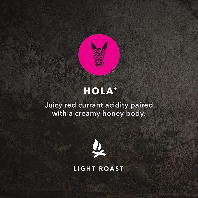 Kicking Horse Coffee Hola, Light Roast, Ground, 284 g (Pack of 6) - Certified Organic, Fairtrade, Kosher