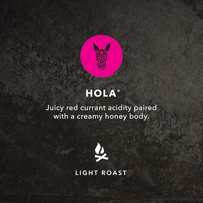 Kicking Horse Coffee Hola, Light Roast, Ground, 284 g (Pack of 6) - Certified Organic, Fairtrade, Kosher