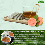 Load image into Gallery viewer, FreshDrinkUS, Premium 135 Guava Leaf Tea Bags, Handmade, From Great Origin, 100% Natural and Pure. Guava Tea, Loose Leaf Herbal Tea. No Sugar/Caffeine/Gluten, Vegan.