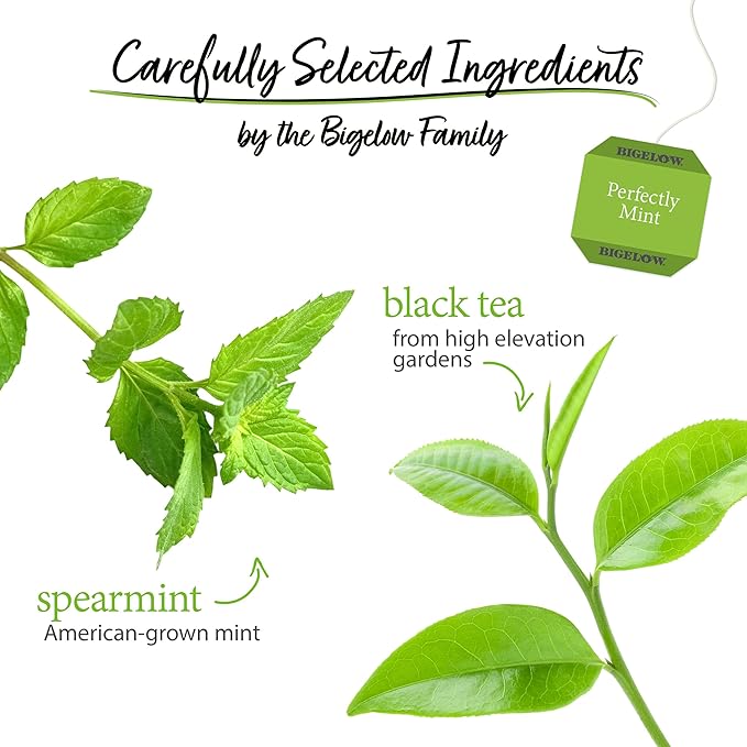Bigelow Tea Perfectly Mint Black Tea, Caffeinated, 20 Total Tea Bags