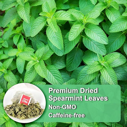 FullChea - Spearmint Tea Bags, 40 Teabags, 1.5g/bag - Premium Spearmint Leaves - Non-GMO - Caffeine-free - High in Antioxidant & Support Digestion