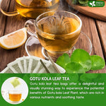 Load image into Gallery viewer, FreshDrinkUS, Premium Gotu Kola Leaf Tea – 75 Tea Bags | Pure Dried Centella Asiatica Leaves | Naturally Caffeine-Free Herbal Tea | Refreshing Aroma &amp; Smooth Taste | Premium Herbal Infusion. Vegan