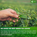 Load image into Gallery viewer, FreshDrinkUS, Premium 175 Green Tea Bags, 100% Natural &amp; Pure from Green Tea. Green Herbal Tea. Made with Natural Material Tea Bags. No Sugar, No Gluten, Vegan