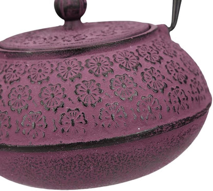 30 oz Cast Iron Teapot Enamel Lining W/Metal Infuser Tea Kettle, Purple