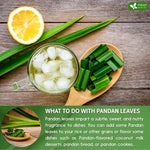 Load image into Gallery viewer, FreshDrinkUS, Premium 2oz Natural Pandan Leaves Dried, 100% Pure Dried Pandan Leaves, Pandan Leaf Tea, No Additives, No Caffeine, Vegan (2 oz Dried Leaves)