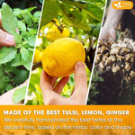 Load image into Gallery viewer, FreshDrinkUS, Premium 75 Tulsi Lemon Ginger Tea Bags, 100% Natural &amp; Pure from Tulsi Holy Basil Leaves, Lemon and Ginger. Made with Natural Material Tea Bags. No Sugar, No Caffeine, Vegan.