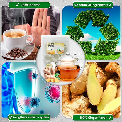 TeadreamTea Ginger Tea Bags - 200 Bleach-Free Tea Bags | Caffeine Free, Antioxidant, Calms Upset Stomach - Strengthen Immune System - Herbal Ginger Tea