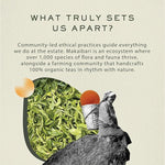 Load image into Gallery viewer, Makaibari Himalayan Spring, Special Edition First Flush Black tea 100 gm | USDA Organic Certified Darjeeling Black Tea | Single Estate Loose Leaf Tea